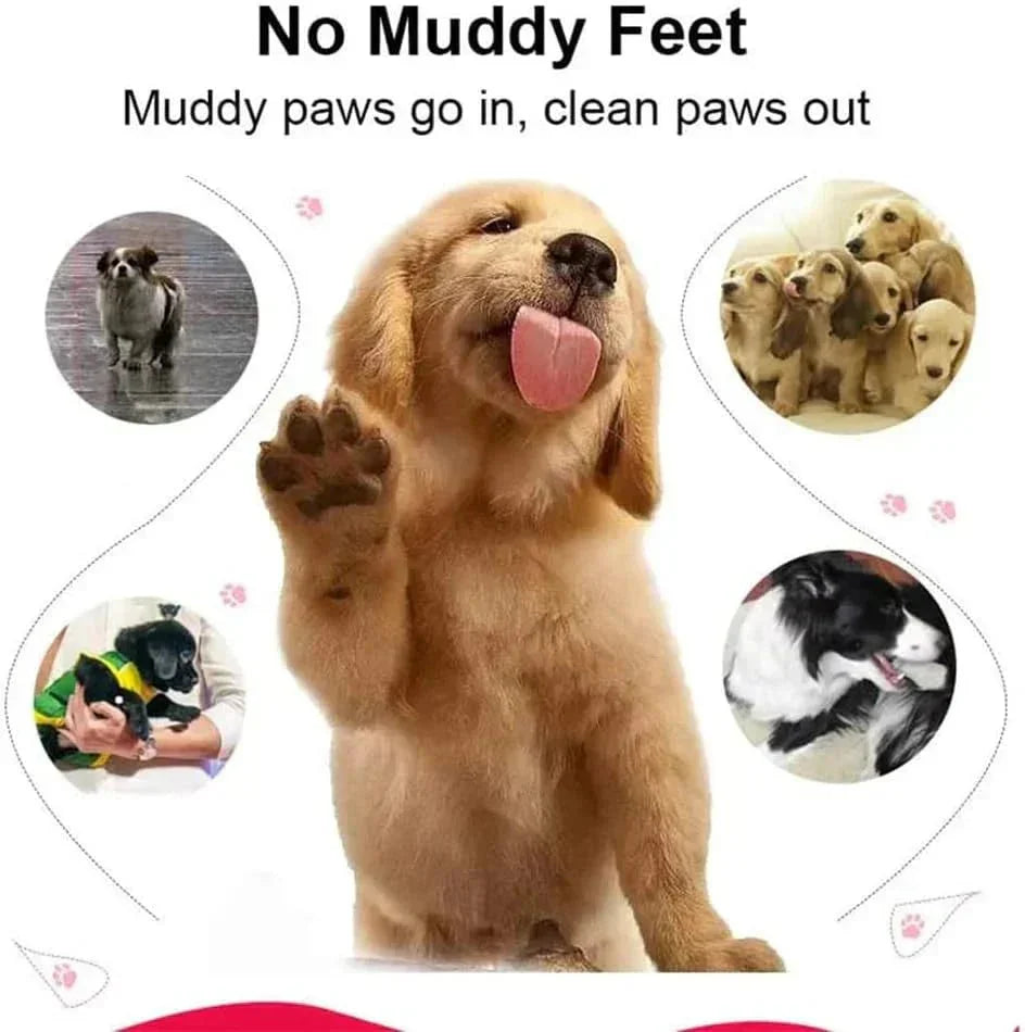 Happy dog with paw up, surrounded by muddy and clean paw images, promoting dog paw cleaner.