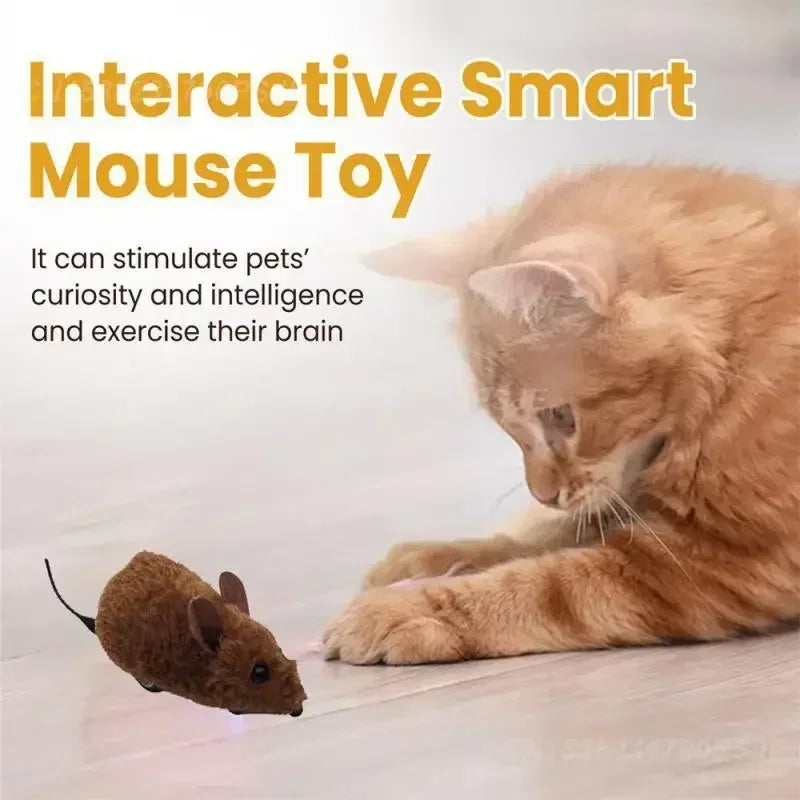 Interactive Cat Mouse Toy