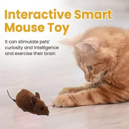 Orange cat watching an interactive smart mouse toy on light wooden floor stimulating pet play