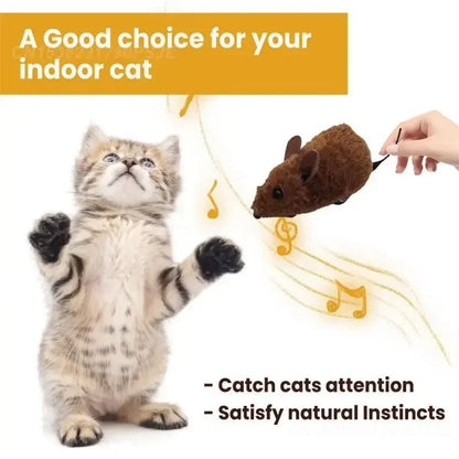 Indoor kitten playing with interactive brown mouse toy to satisfy natural hunting instincts
