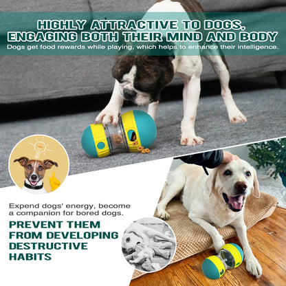 Dogs playing with interactive blue and yellow training treat toys to engage mind and prevent destructive habits