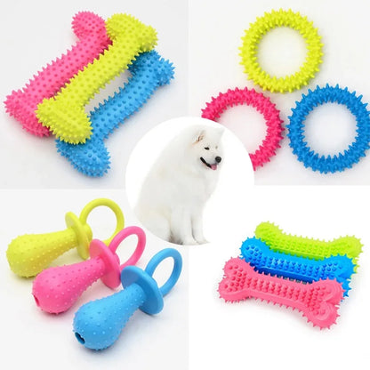 Colorful rubber spiked chew toys for small dogs including bones, rings, and pacifier shapes with a white fluffy dog in center