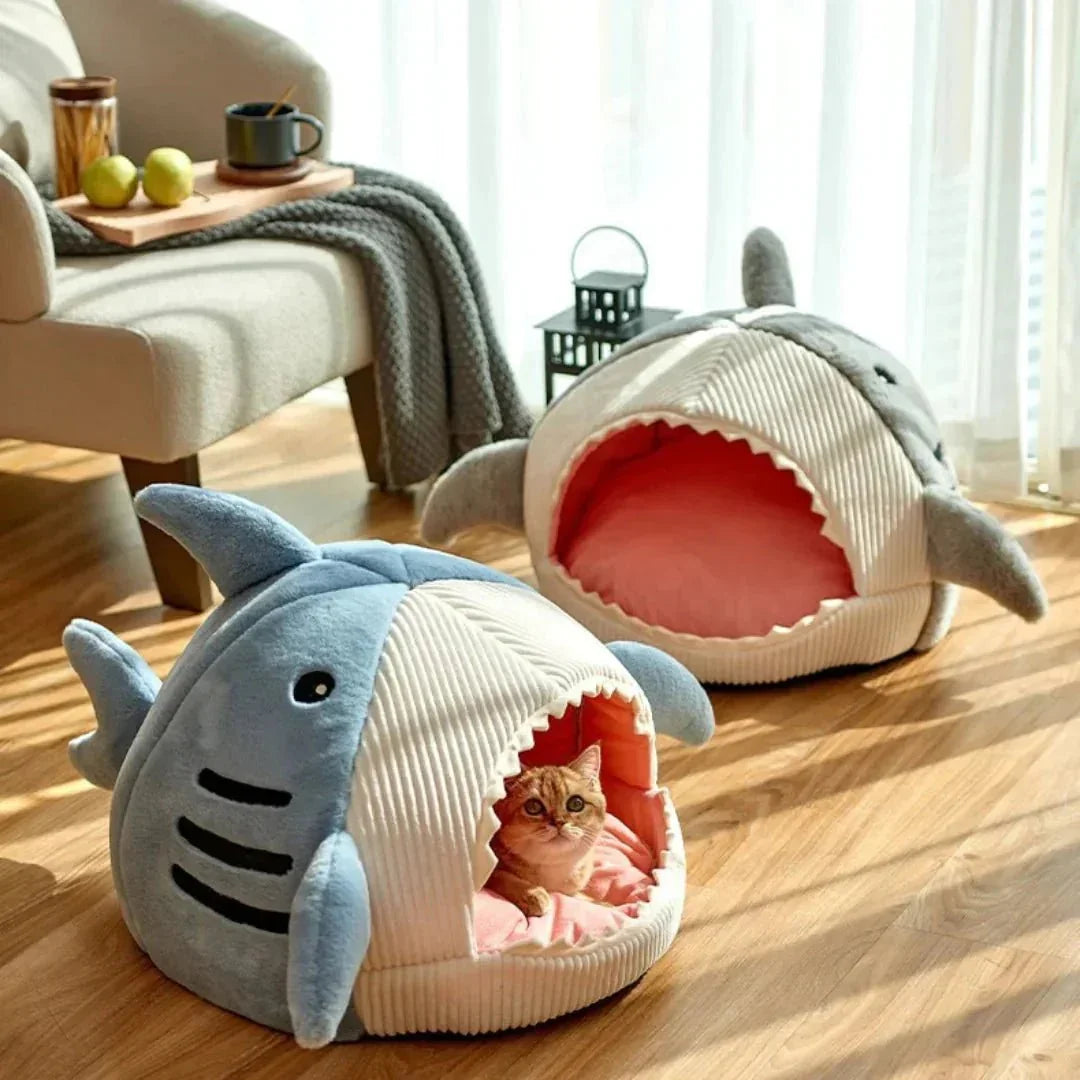 Cat in a shark mouth pet bed for cats and small dogs in a cozy living room