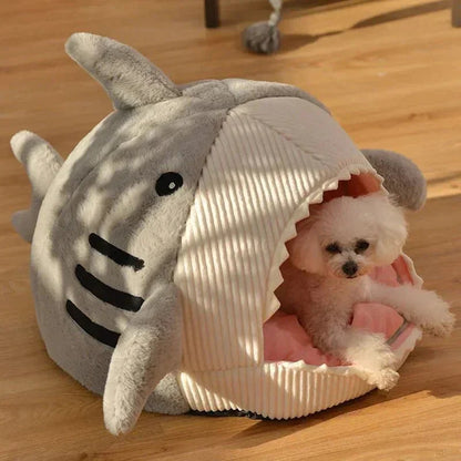 Small white dog in a shark mouth pet bed on wooden floor