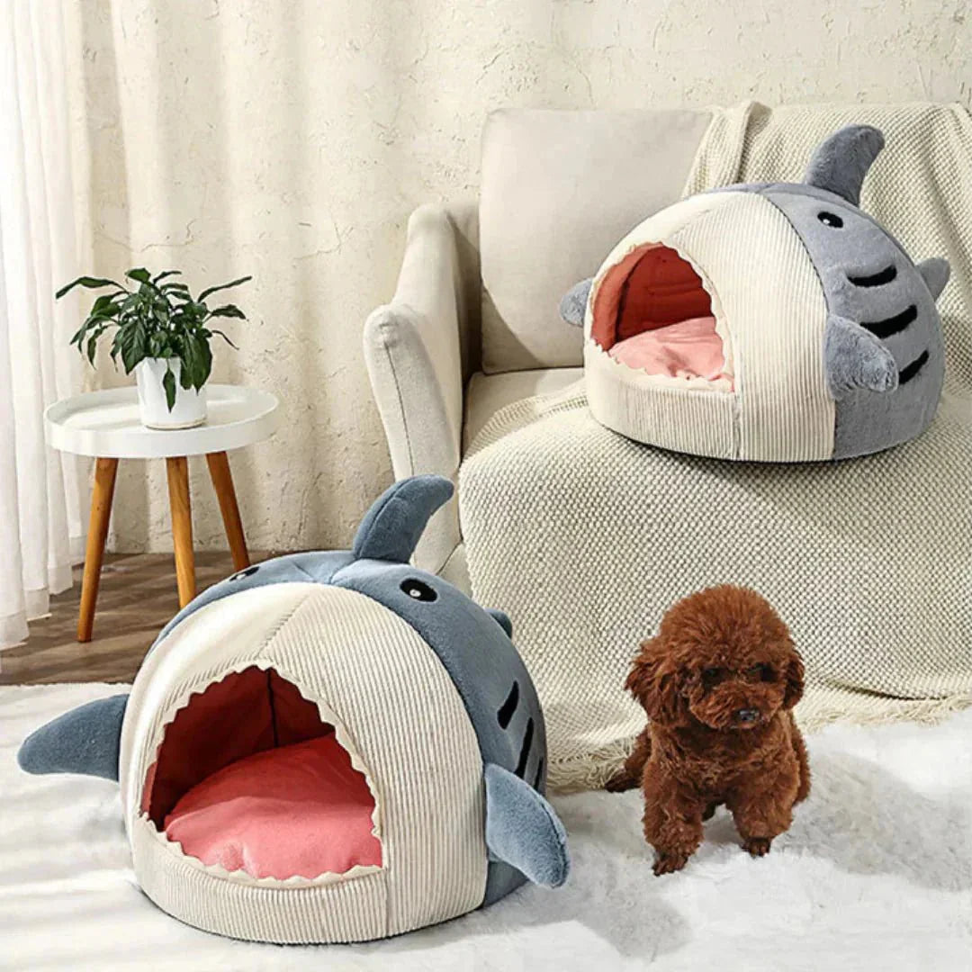 Shark mouth pet beds for cats and small dogs in cozy living room with brown puppy