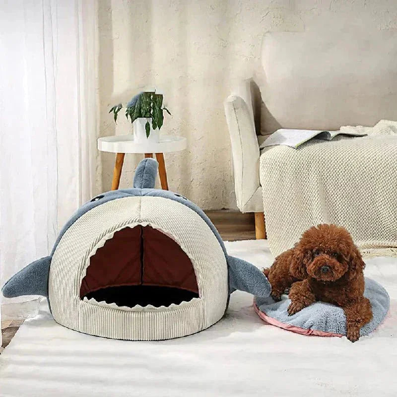 Shark mouth pet bed with small brown dog on mat in cozy living room