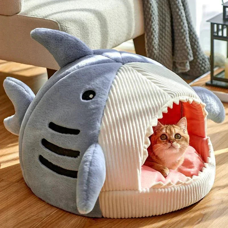 Orange cat inside shark mouth pet bed for cats and small dogs on wooden floor