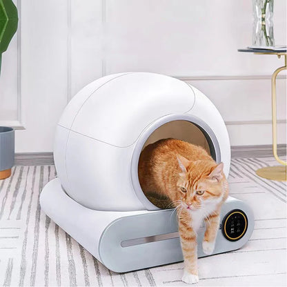 Orange tabby cat exiting modern white spherical smart self-cleaning cat litter box on striped rug