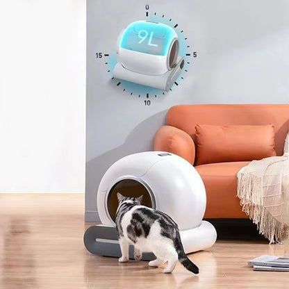 Modern white smart self-cleaning cat litter box in living room with cat and orange sofa