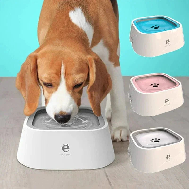 Beagle drinking from anti-splash dog water bowl, three color options, on wood floor.