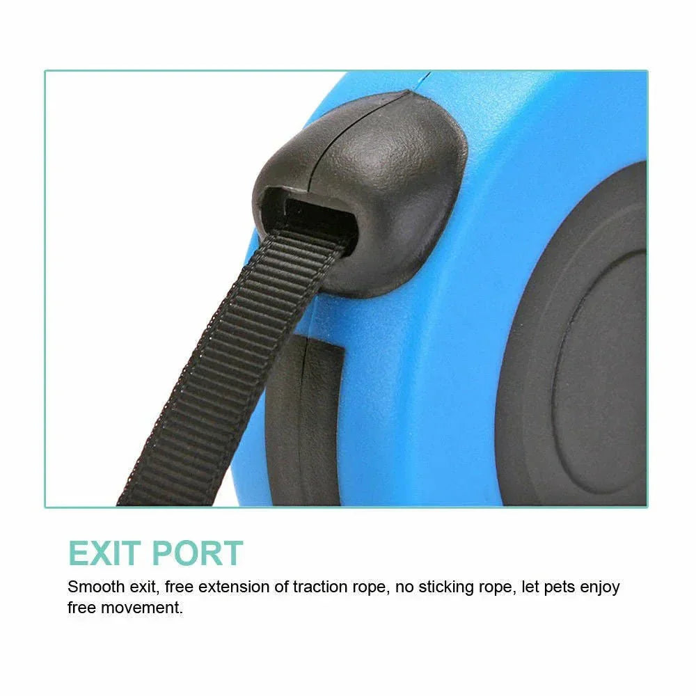 Close-up of blue tangle-free retractable dog leash with black exit port and strap.