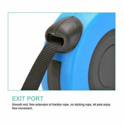 Close-up of blue tangle-free retractable dog leash with black exit port and strap.