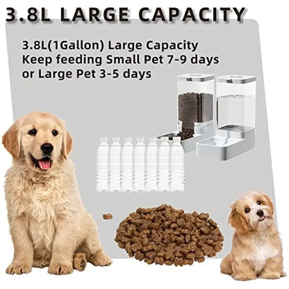 3.8L large capacity automatic pet feeder with dry food and two small dogs, feeding 7-9 days for small pets