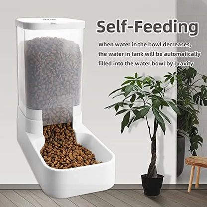 White automatic pet feeder with kibble dispensed and self-feeding water bowl detail, indoor plant nearby