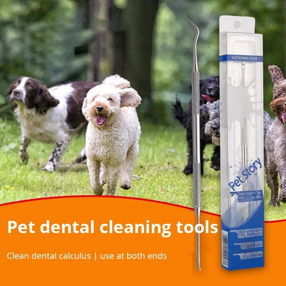 Pet dental cleaning tool with double-ended stainless steel scaler and packaging, dogs running on grass background