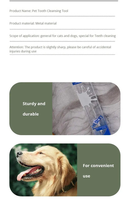 Metal pet tooth cleaning tool in clear packaging with relaxed golden retriever on green background