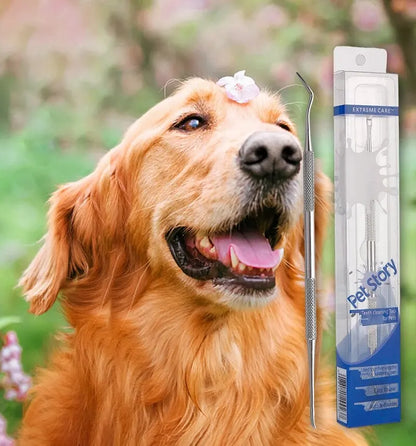 Golden retriever with a flower on its head next to a stainless steel pet dental cleaning tool in packaging