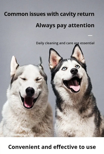 Smiling husky dogs against gray background with text about daily dental care and cavity return issues
