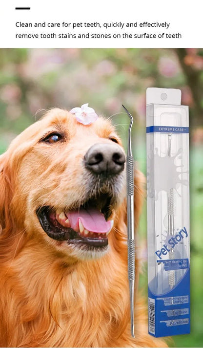 Golden retriever dog with flower on head next to stainless steel pet dental cleaning tool in packaging