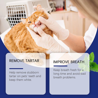Veterinarian in gloves inspecting orange cat’s teeth with text about removing tartar and improving breath
