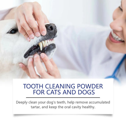 Veterinarian examining dog's teeth to promote dental health for cats and dogs