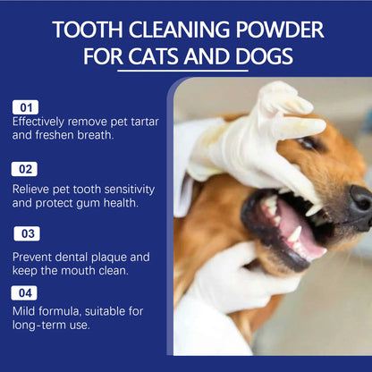 Tooth cleaning powder benefits for cats and dogs with vet examining dog's teeth wearing gloves